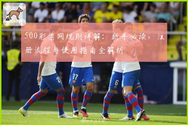 500彩票网规则详解：新手必读，注册流程与使用指南全解析