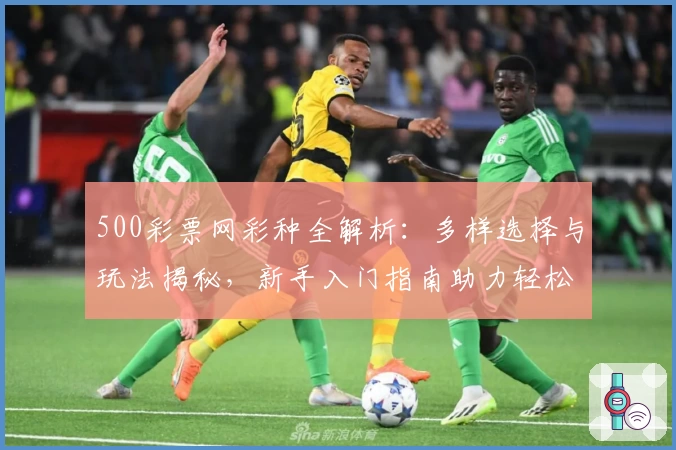 500彩票网彩种全解析：多样选择与玩法揭秘，新手入门指南助力轻松上手
