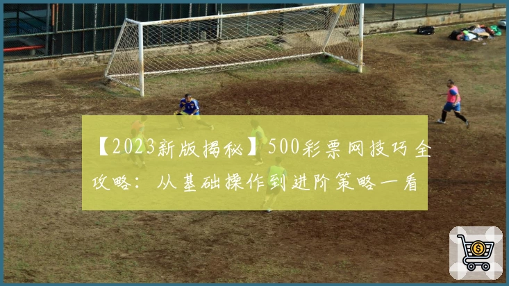 【2023新版揭秘】500彩票网技巧全攻略：从基础操作到进阶策略一看即懂