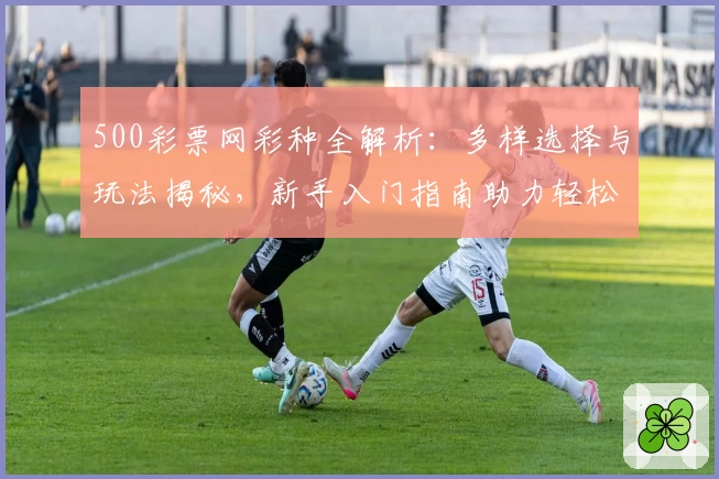 500彩票网彩种全解析：多样选择与玩法揭秘，新手入门指南助力轻松上手