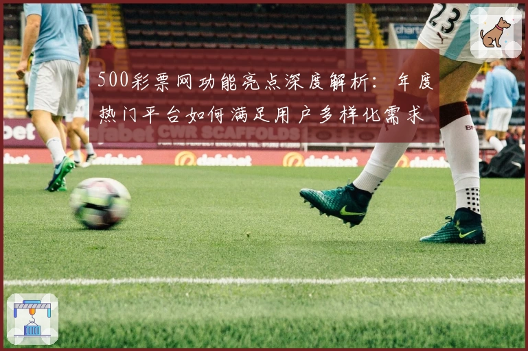 500彩票网功能亮点深度解析：年度热门平台如何满足用户多样化需求